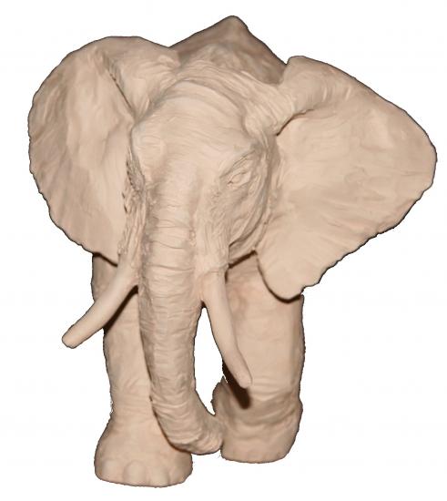 L'elephant
